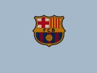 开云体育中国-意甲焦点战之夜，乔治防守端锁死对手，诠释现代足球防守艺术