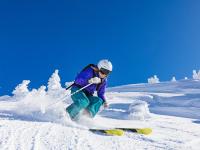 开云足球直播-紫金逆袭，湖人逆境淘汰灰熊，总决赛之路的坚韧序章