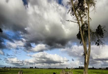 开云官网-摩洛哥险胜波兰，一场改写世界杯格局的意甲焦点战