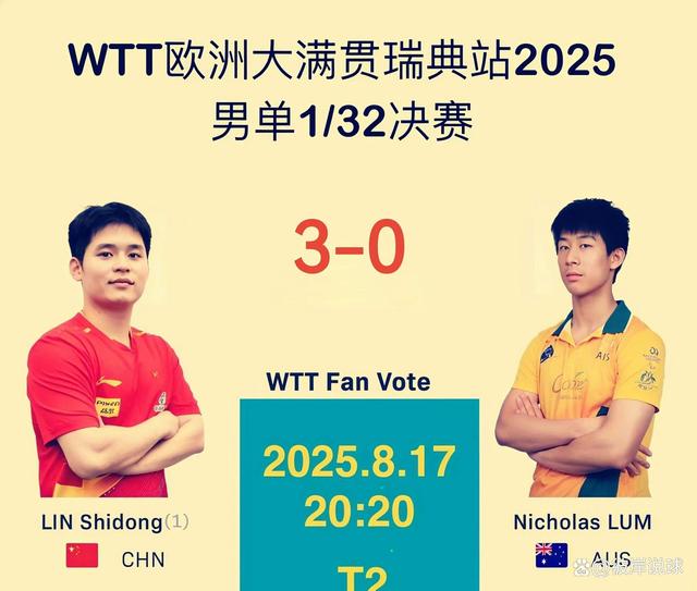 瑞典队在比赛中取得出色成绩,获得冠军 瑞典队在比赛中取得出色成绩,获得冠军